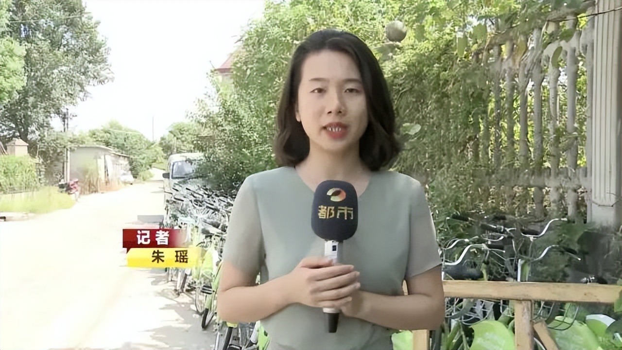 BTV kỳ cựu rời đài truyền hình vì áp lực: Dốc sạch tiền mua nhà "chữa lành", sống 1 mình hạnh phúc - Ảnh 1. BTV kỳ cựu rời đài truyền hình vì áp lực: Dốc sạch tiền mua nhà "chữa lành", sống 1 mình hạnh phúc - Ảnh 1.