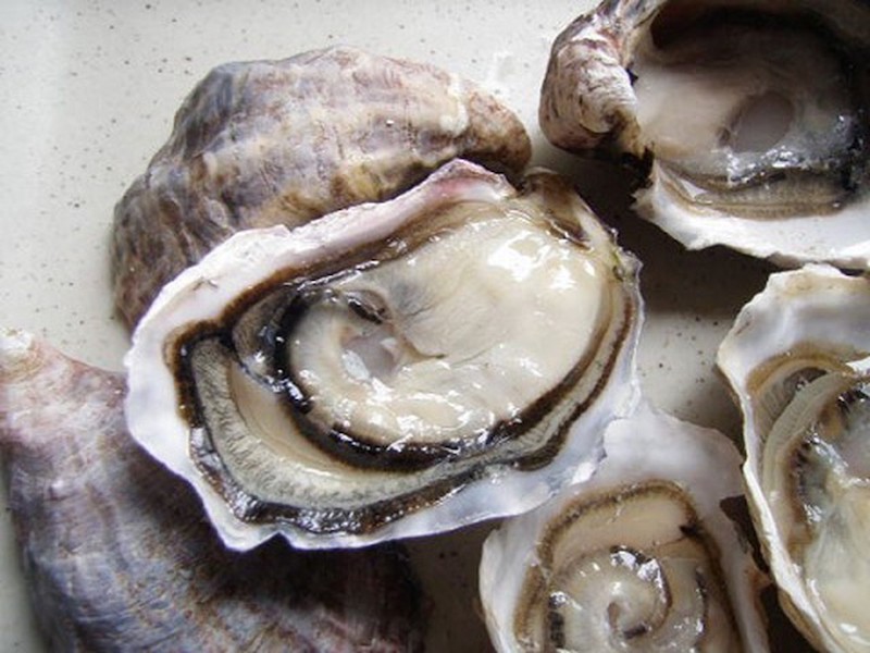 Loại Thực Phẩm Nhiều Sắt Gấp 3 Lần Thịt Bò, Là &Quot;Kho Báu&Quot; Dưỡng Chất Bổ Máu, Tốt Cho Tim Mạch: Không Phải Ai Cũng Biết Để Ăn Hau La Ki Su Cai Tao Nguon Nuoc Bien 201907071017228799 145208 1769073354847 17690733551911719625207