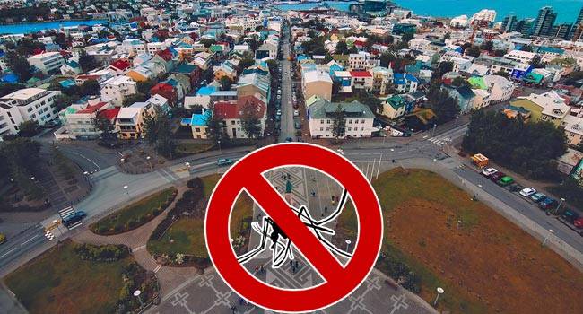 Một quốc gia kh&ocirc;ng c&oacute; bất kỳ con muỗi n&agrave;o- Ảnh 1.