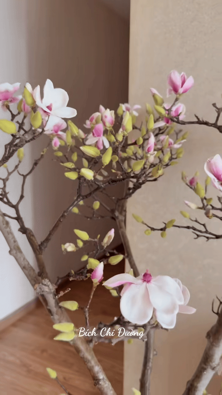 Lo&agrave;i hoa Tết hot nhất 2026: Mộc lan đẹp m&ecirc; hồn cho kh&ocirc;ng gian sống - Ảnh 7.