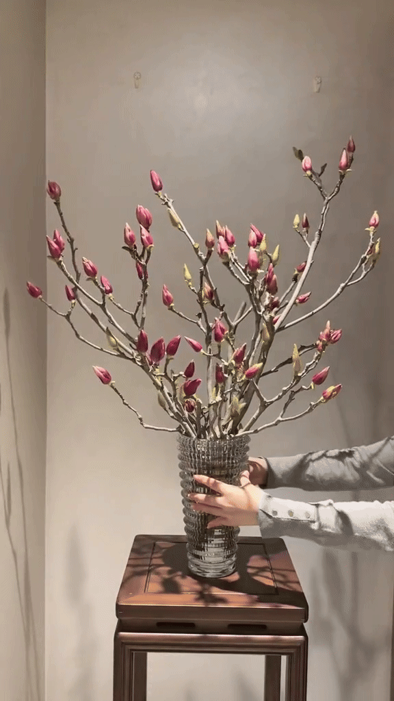 Lo&agrave;i hoa Tết hot nhất 2026: Mộc lan đẹp m&ecirc; hồn cho kh&ocirc;ng gian sống - Ảnh 15.