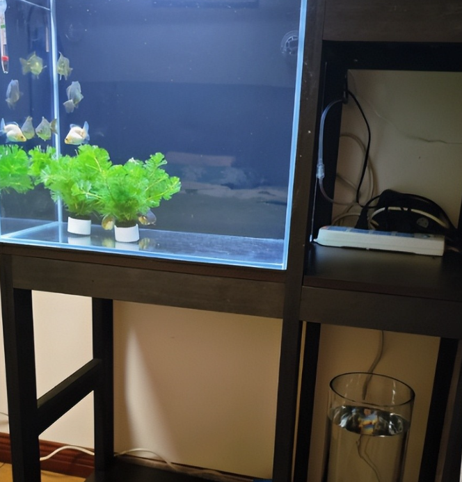 N&oacute;i với người nh&agrave; bạn: Đừng đặt 5 thứ n&agrave;y ở đầu giường, hại sức khỏe, ngủ kh&ocirc;ng y&ecirc;n- Ảnh 6.