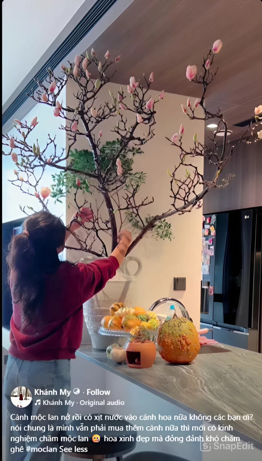 Lo&agrave;i hoa Tết hot nhất 2026: Mộc lan đẹp m&ecirc; hồn cho kh&ocirc;ng gian sống - Ảnh 9.