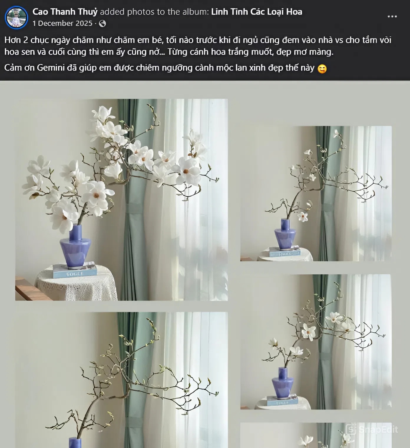 Lo&agrave;i hoa Tết hot nhất 2026: Mộc lan đẹp m&ecirc; hồn cho kh&ocirc;ng gian sống - Ảnh 11.