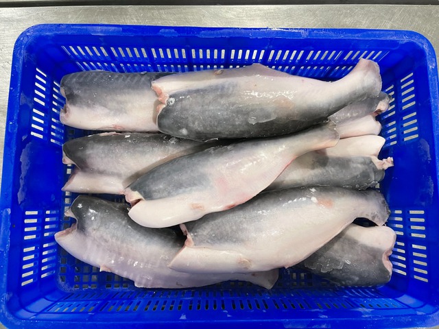 12 loại cá bổ ngang nhân sâm tổ yến, ngọt thịt, ít xương dăm, chợ Việt bán từ 40.000 đồng/kg- Ảnh 1. 12 loại cá bổ ngang nhân sâm tổ yến, ngọt thịt, ít xương dăm, chợ Việt bán từ 40.000 đồng/kg- Ảnh 1.