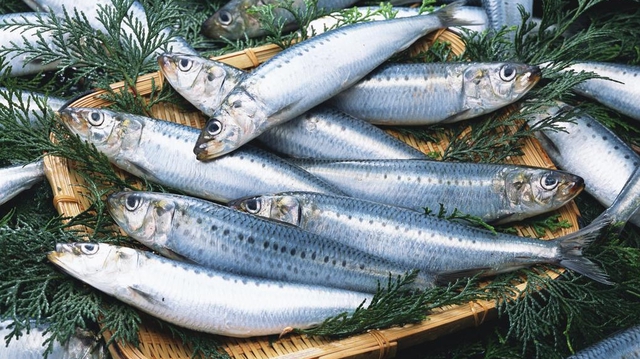 Người Sành Ăn Khi Mua Cá Thường Chỉ Chọn 5 Loại Cá Biển Này: Không Thể Nuôi Nhân Tạo, Hoàn Toàn Là Cá Đánh Bắt Tự Nhiên, Người Sành Ăn Khi Mua Cá Thường Chỉ Chọn 5 Loại Cá Biển Này: Không Thể Nuôi Nhân Tạo, Hoàn Toàn Là Cá Đánh Bắt Tự Nhiên,