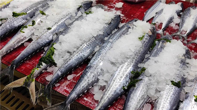 Người Sành Ăn Khi Mua Cá Thường Chỉ Chọn 5 Loại Cá Biển Này: Không Thể Nuôi Nhân Tạo, Hoàn Toàn Là Cá Đánh Bắt Tự Nhiên, Người Sành Ăn Khi Mua Cá Thường Chỉ Chọn 5 Loại Cá Biển Này: Không Thể Nuôi Nhân Tạo, Hoàn Toàn Là Cá Đánh Bắt Tự Nhiên,