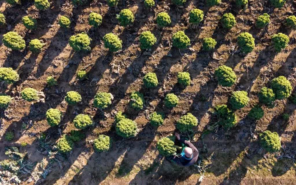 Thế giới bước v&agrave;o kỷ nguy&ecirc;n &ldquo;ph&aacute; sản nguồn nước&rdquo; - Ảnh 1.