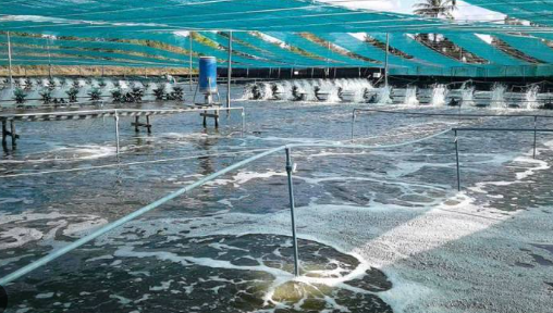 Kh&ocirc;ng phải đất hiếm, Mỹ, Trung Quốc đang đua nhau săn một kho b&aacute;u của Việt Nam: Nước ta l&agrave; &ocirc;ng lớn đứng thứ 3 thế giới, xuất khẩu lập đỉnh 4,5 tỷ USD - Ảnh 1.