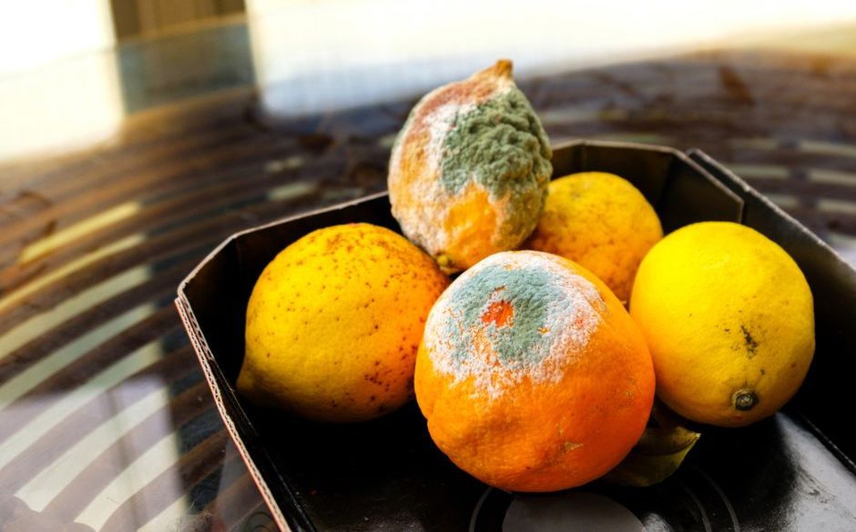 7 loại thực phẩm tưởng chừng an toàn nhưng có thể chứa chất độc: Gia đình bạn nên kiểm tra ngay- Ảnh 3. 7 loại thực phẩm tưởng chừng an toàn nhưng có thể chứa chất độc: Gia đình bạn nên kiểm tra ngay- Ảnh 3.