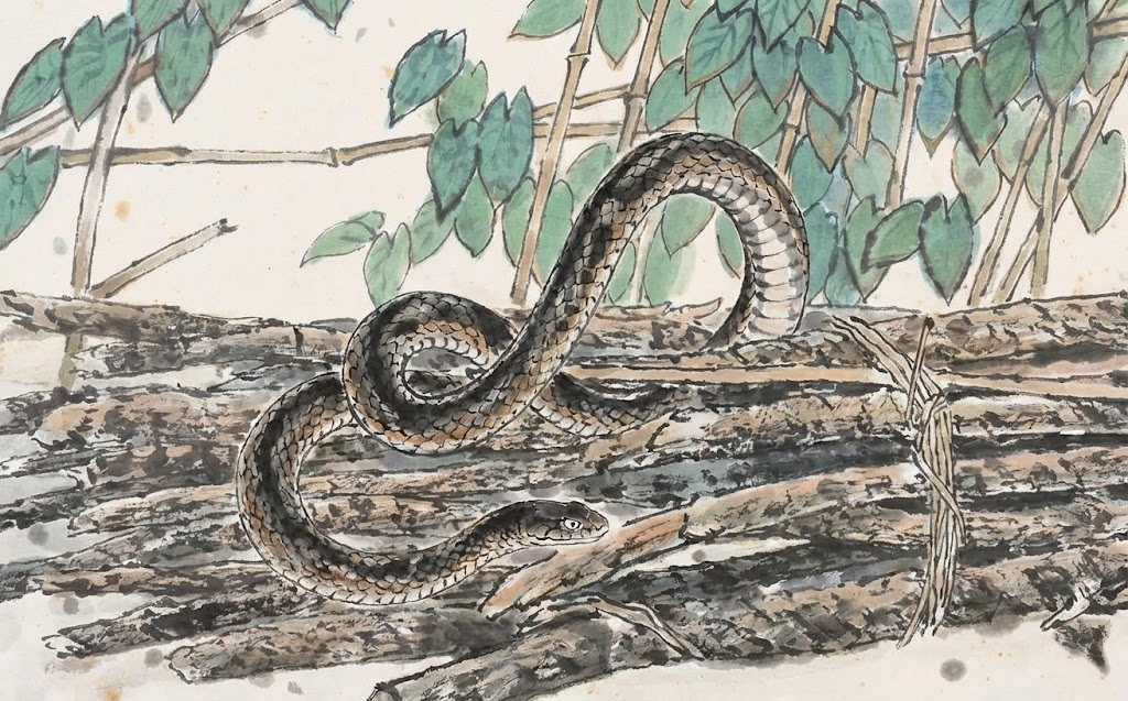 Có tài lại còn có "tay trong": 4 con giáp đón vận may cực lớn, tiền về ngập két ngay trước thềm Tết Nguyên đán 2026 - Ảnh 1.