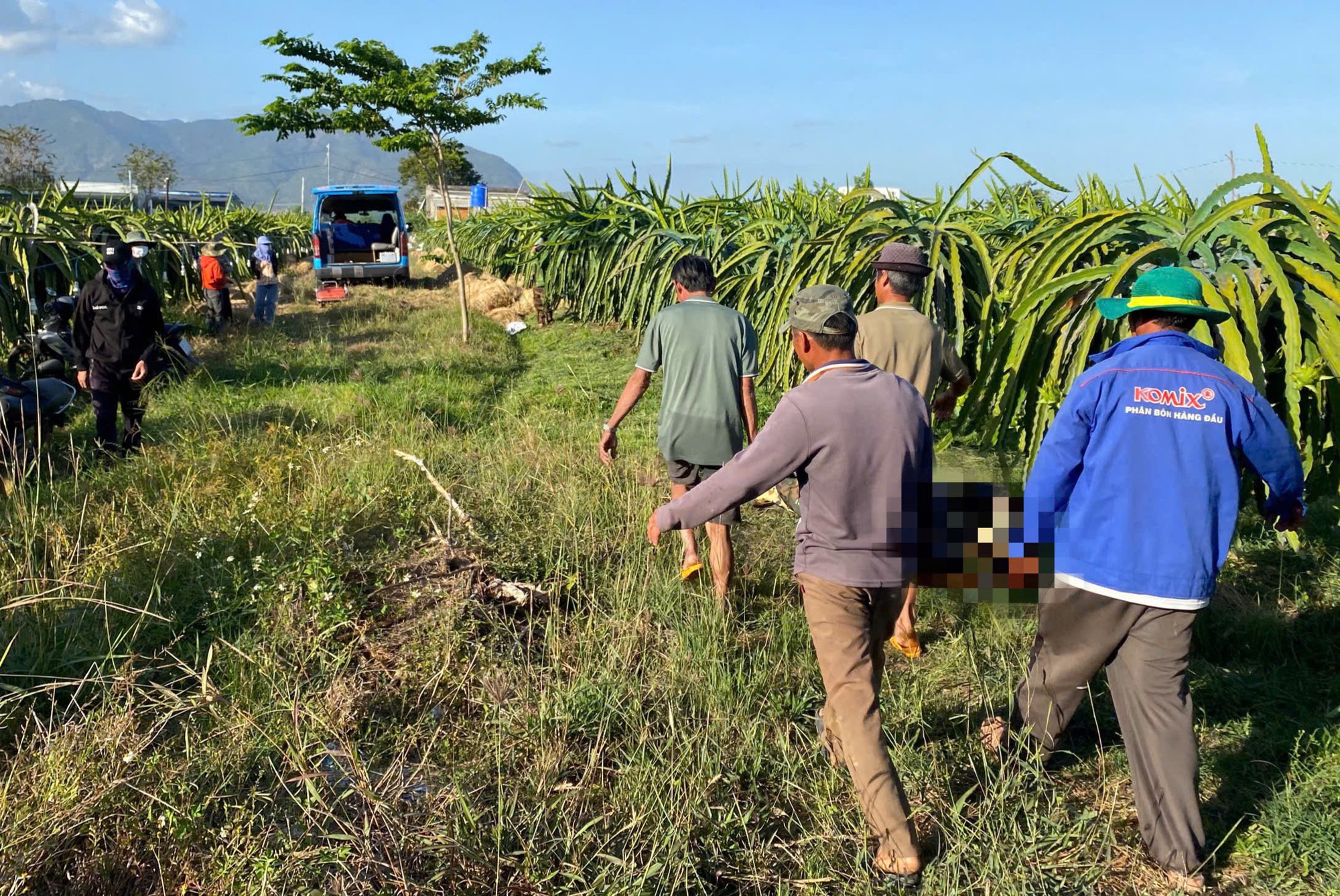 Người đàn ông tử vong khi đi chài cá ở ao vườn thanh long - Ảnh 1.