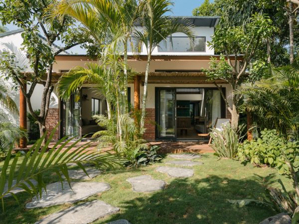 6 loại cây được người xưa khuyên nên trồng vào đầu năm để cầu công danh, tài lộc- Ảnh 1.