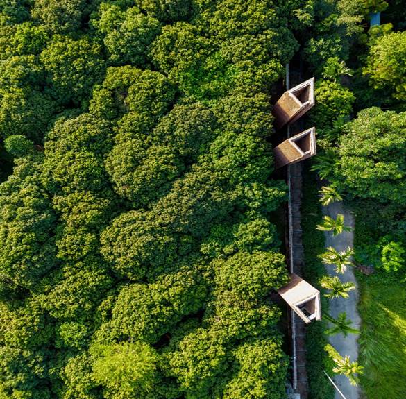 Bảo tàng Đạo Mẫu của nghệ sĩ Xuân Hinh đoạt nhiều giải thưởng thế giới- Ảnh 2.