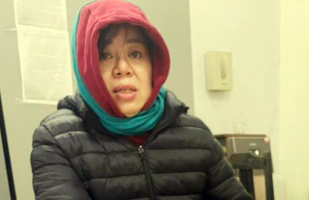 Bắt nữ giám đốc doanh nghiệp Nguyễn Thị Thu Nga - Ảnh 1.