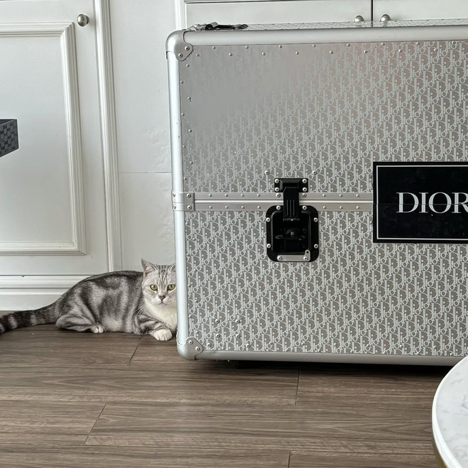 Sơn Tùng chuẩn bị cho tổ ấm mới?- Ảnh 7. Sơn Tùng chuẩn bị cho tổ ấm mới?- Ảnh 7.