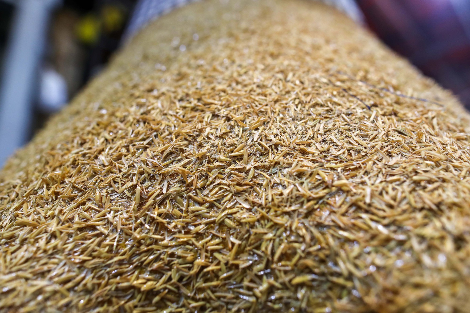 Cận cảnh linh vật ngựa trên đường hoa Nguyễn Huệ Tết Bính Ngọ 2026 - Ảnh 7.