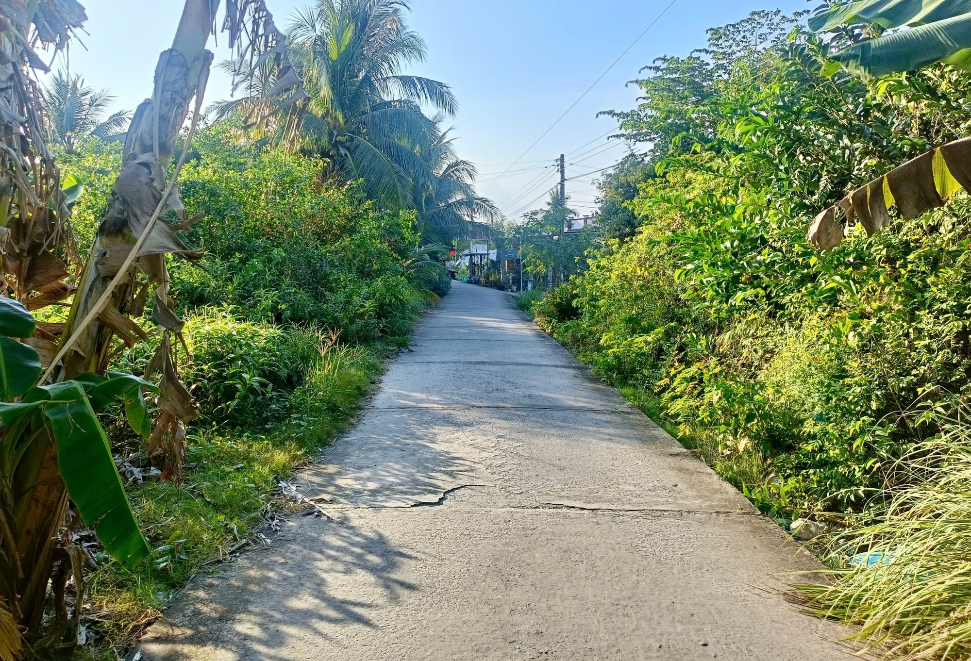 Thăm hỏi gia đình 2 mẹ con bị sát hại tại Cà Mau , khắc phục nỗi đau thương - Ảnh 2.