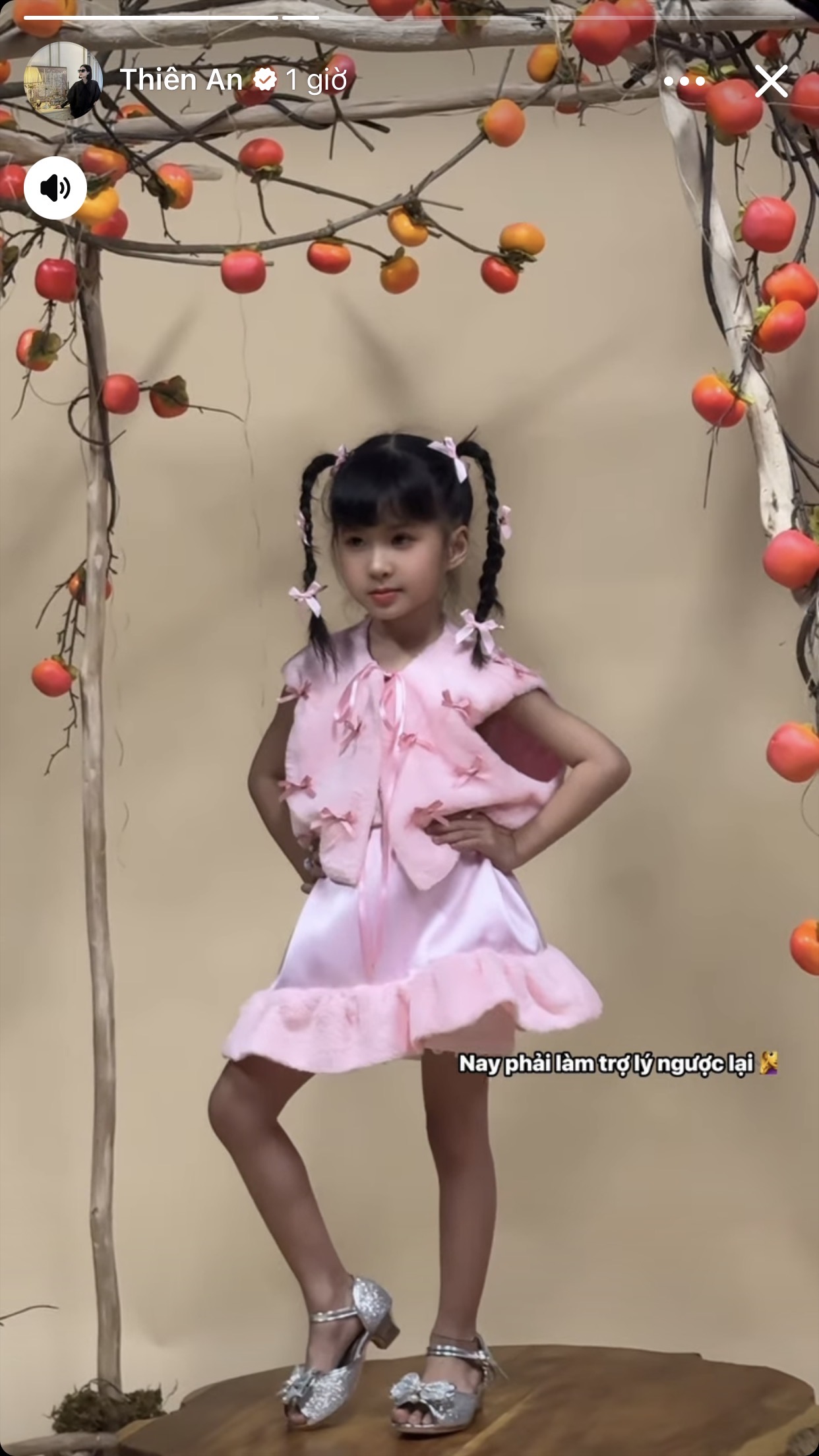 Công việc trợ lý của Thiên An- Ảnh 1.