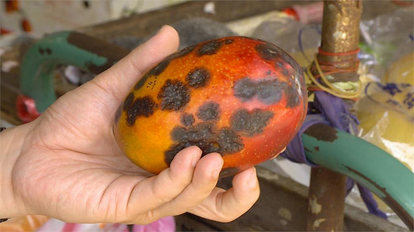 Cả Gia Đình 3 Người Lần Lượt Qua Đời: Bác Sĩ Liên Tục Cảnh Báo 4 Loại Thực Phẩm Để Lâu Trong Tủ Lạnh Có Thể “Tiếp Tay” Cho Ung Thư- Ảnh 2.