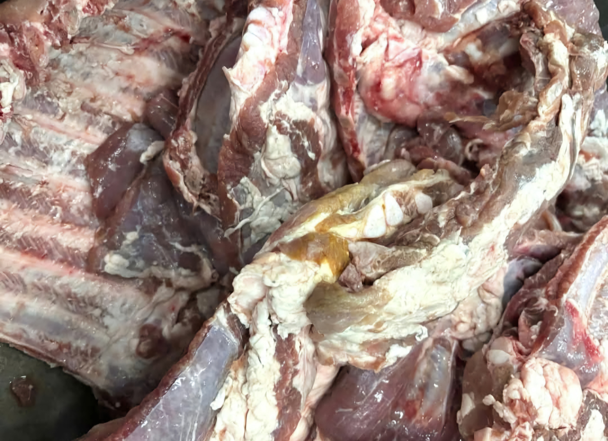 Địa phương lên tiếng về số sườn heo đông lạnh có "màu lạ" đưa vào trường học - Ảnh 1.