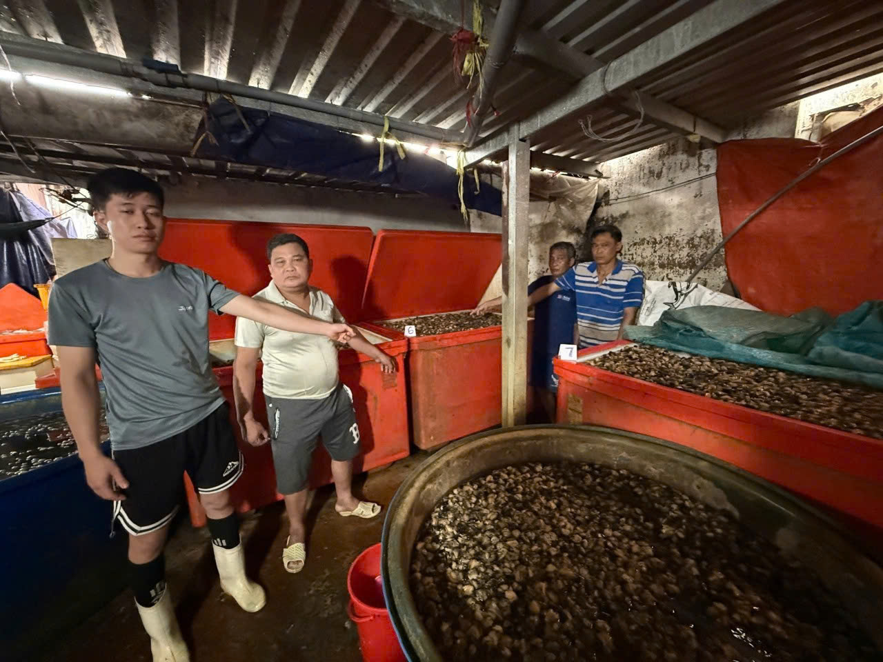 Công an TPHCM công bố hình ảnh bên trong cơ sở ngâm ốc bươu bằng hoá chất - Ảnh 4.