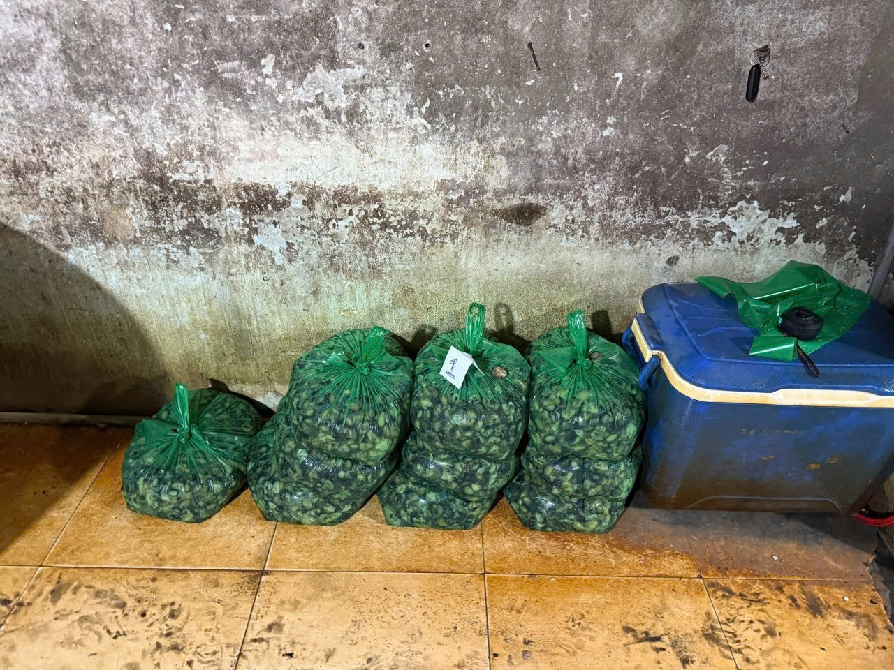 Công an TPHCM công bố hình ảnh bên trong cơ sở ngâm ốc bươu bằng hoá chất - Ảnh 5.