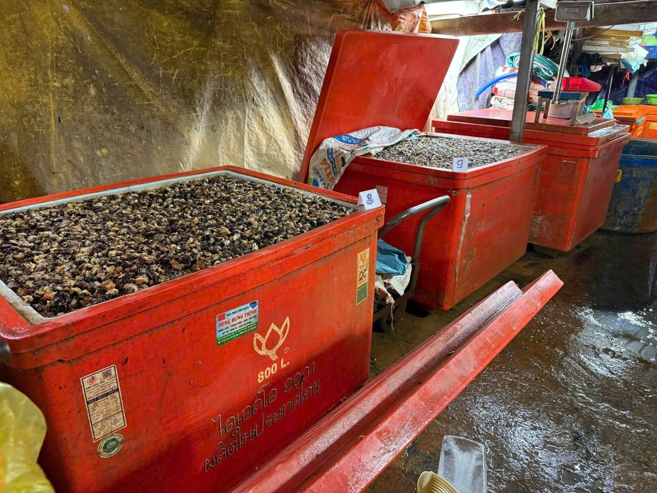 Công an TPHCM công bố hình ảnh bên trong cơ sở ngâm ốc bươu bằng hoá chất - Ảnh 6.