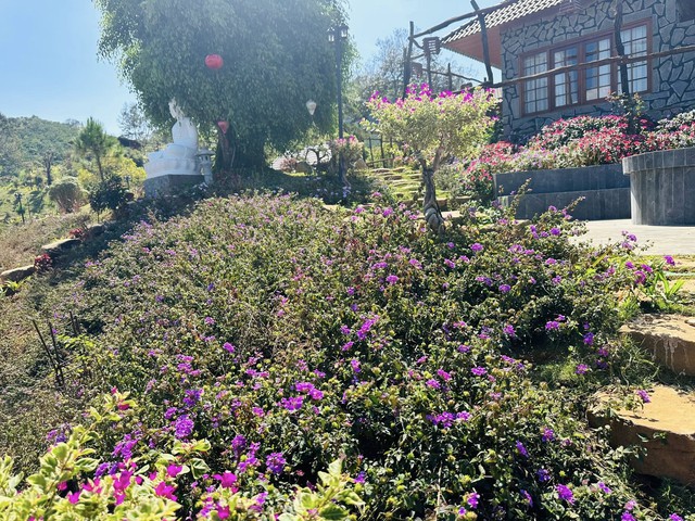 Cận cảnh biệt phủ 10.000m2, đẹp như resort ở Lâm Đồng của nam nghệ sĩ đình đám- Ảnh 10.