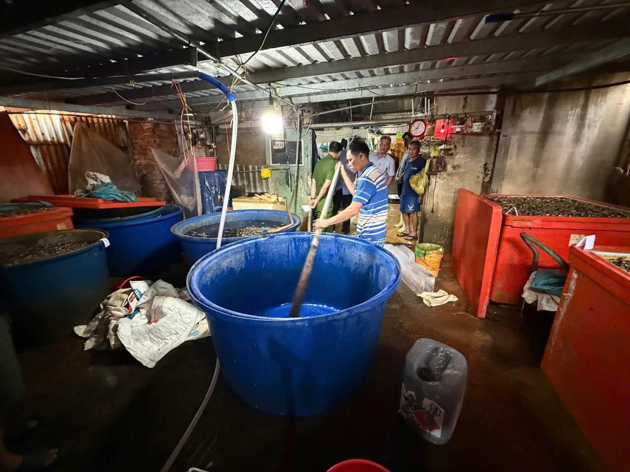 Rùng mình với lò ngâm ốc bươu bằng hóa chất độc hại ở TP . HCM - Ảnh 2. Rùng mình với lò ngâm ốc bươu bằng hóa chất độc hại ở TP . HCM - Ảnh 2.