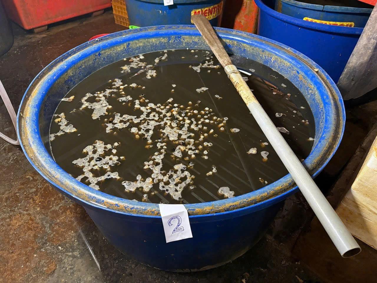 Rùng mình cận cảnh “lò” ngâm 3.000 tấn thịt ốc bươu bằng 500 tấn hóa chất sản xuất xi măng ở TP.HCM Rùng mình cận cảnh “lò” ngâm 3.000 tấn thịt ốc bươu bằng 500 tấn hóa chất sản xuất xi măng ở TP.HCM