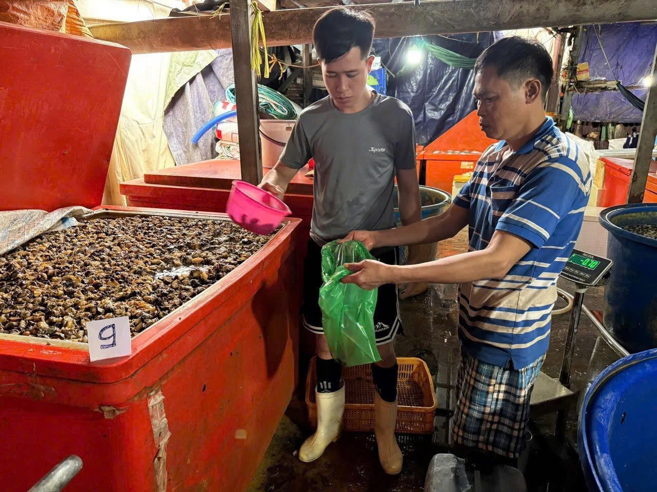 Rùng mình với lò ngâm ốc bươu bằng hóa chất độc hại ở TP . HCM - Ảnh 4. Rùng mình với lò ngâm ốc bươu bằng hóa chất độc hại ở TP . HCM - Ảnh 4.