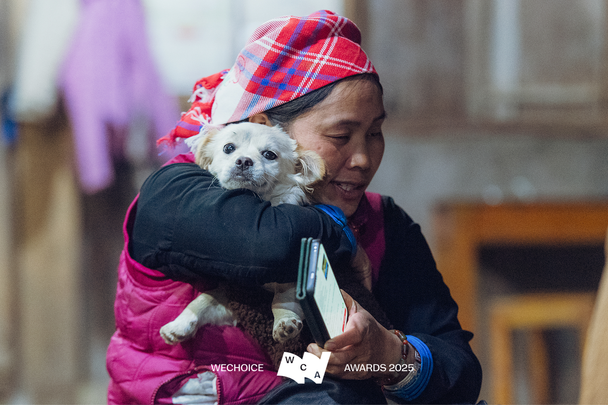Vàng Thị Thông: Người phụ nữ Tày kể câu chuyện Bản Liền bằng ngôn ngữ của thời đại mới- Ảnh 22. Vàng Thị Thông: Người phụ nữ Tày kể câu chuyện Bản Liền bằng ngôn ngữ của thời đại mới- Ảnh 22.
