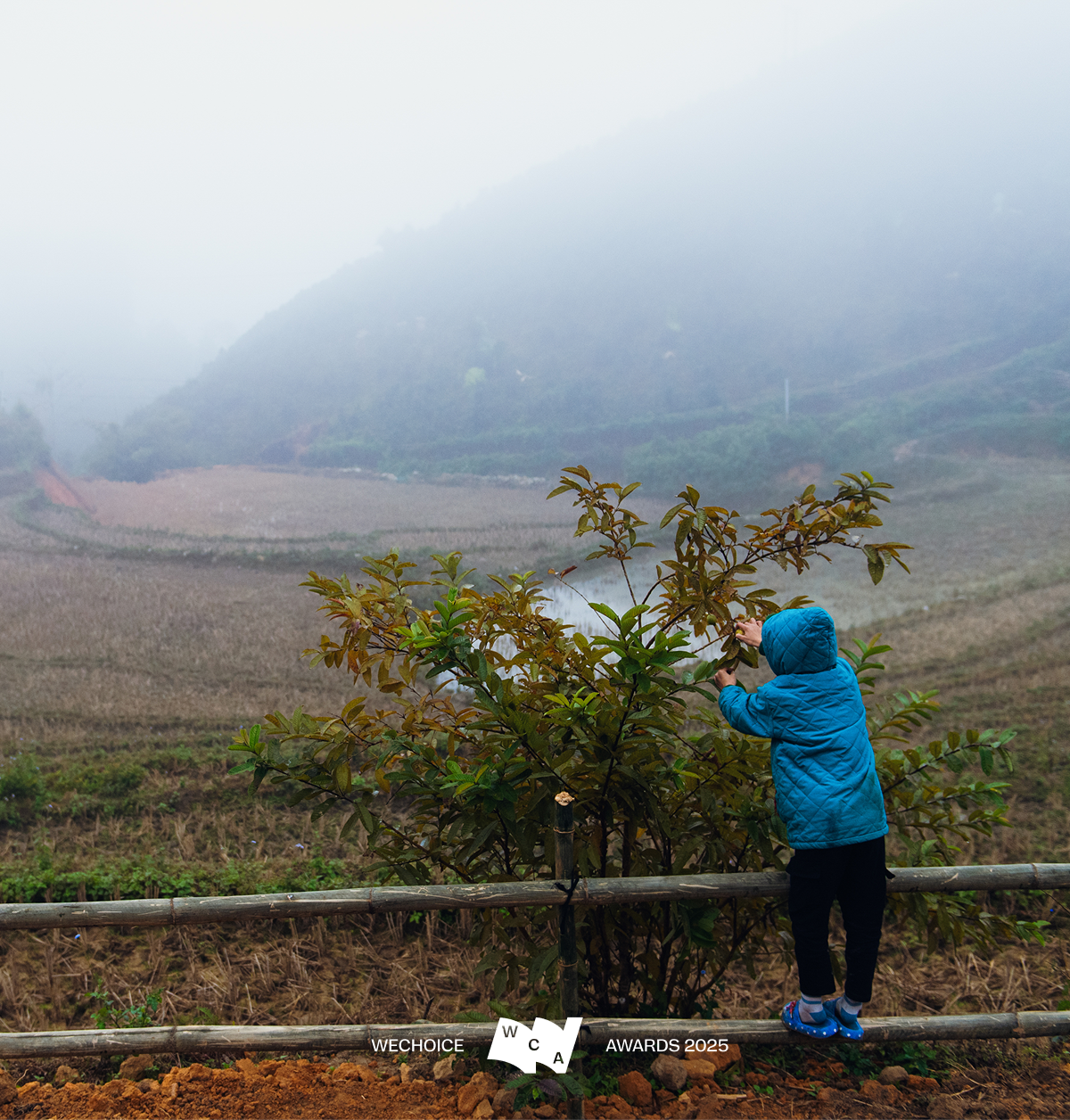 Vàng Thị Thông: Người phụ nữ Tày kể câu chuyện Bản Liền bằng ngôn ngữ của thời đại mới- Ảnh 4. Vàng Thị Thông: Người phụ nữ Tày kể câu chuyện Bản Liền bằng ngôn ngữ của thời đại mới- Ảnh 4.