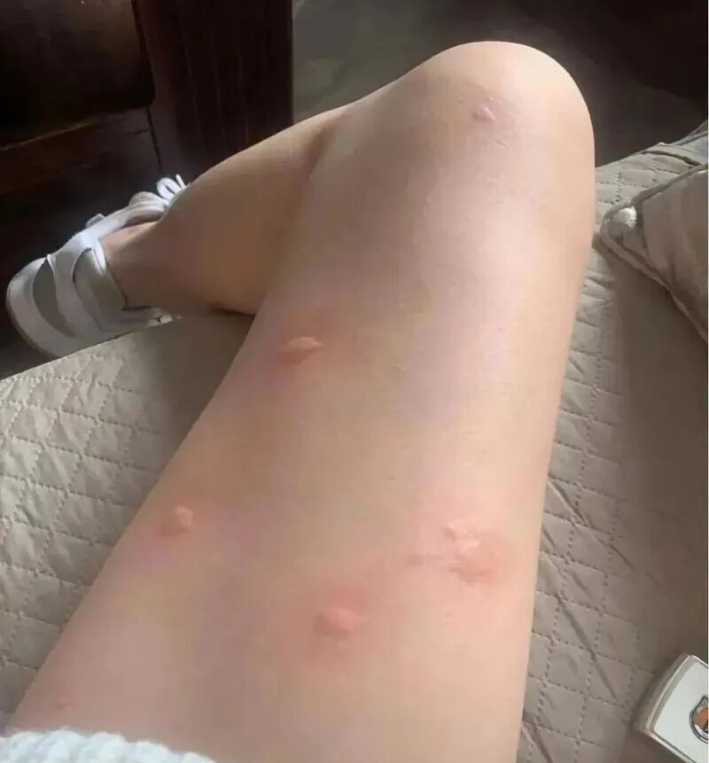 Bất chấp mọi lời khuyên, mua căn hộ tầng một có sân: Sáu tháng sau, chủ nhân phải bật khóc khi rao bán lại- Ảnh 3.