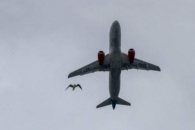 Động cơ PD - 8 của Superjet 100 ho&agrave;n th&agrave;nh thử nghiệm va chạm đ&agrave;n chim th&agrave;nh c&ocirc;ng - Ảnh 4.