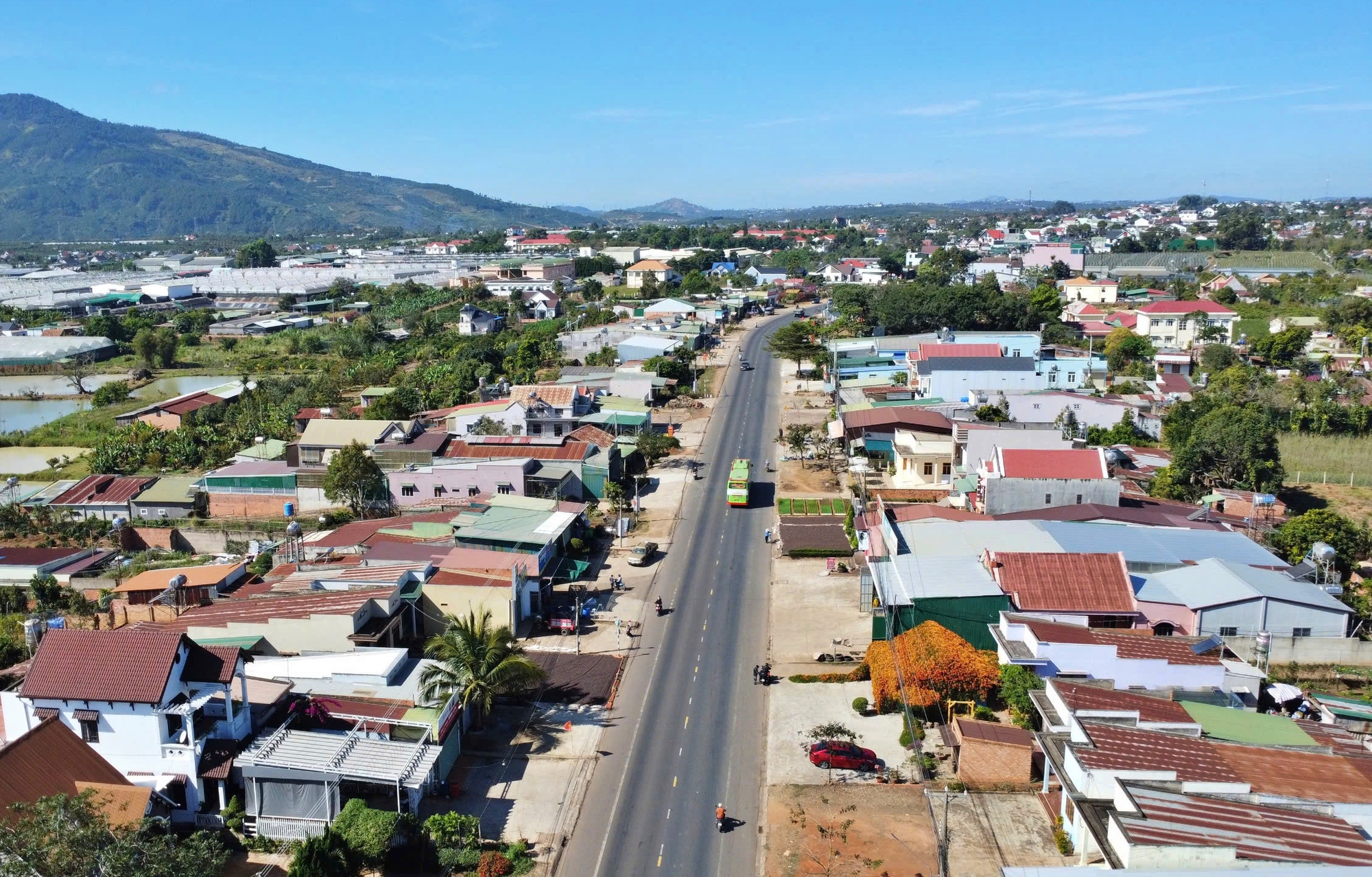 Căn nh&agrave; dưới t&aacute;n hoa x&aacute;c ph&aacute;o, đang "nổi như cồn" ở L&acirc;m Đồng - Ảnh 1.