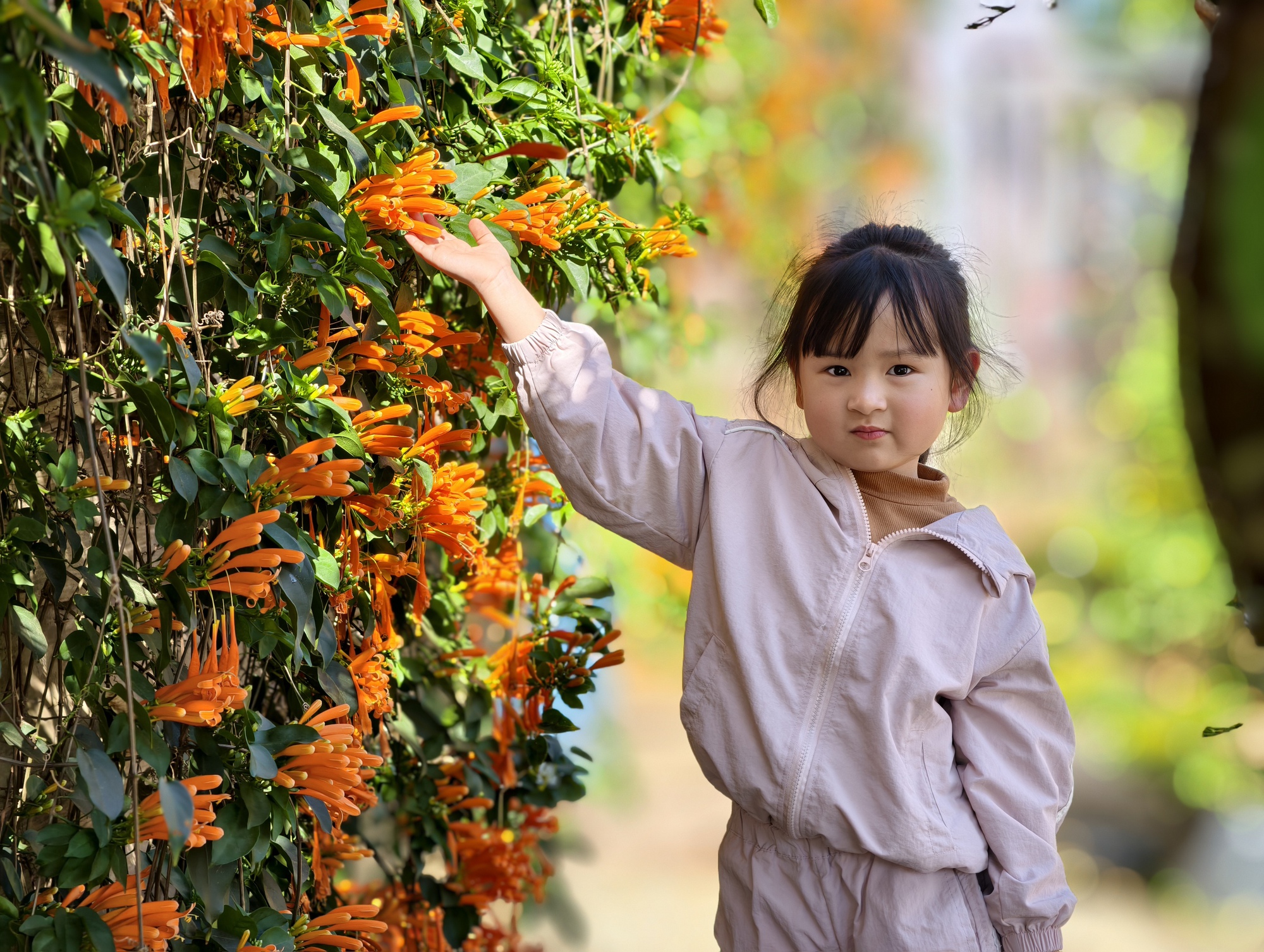 Căn nh&agrave; dưới t&aacute;n hoa x&aacute;c ph&aacute;o, đang "nổi như cồn" ở L&acirc;m Đồng - Ảnh 15.