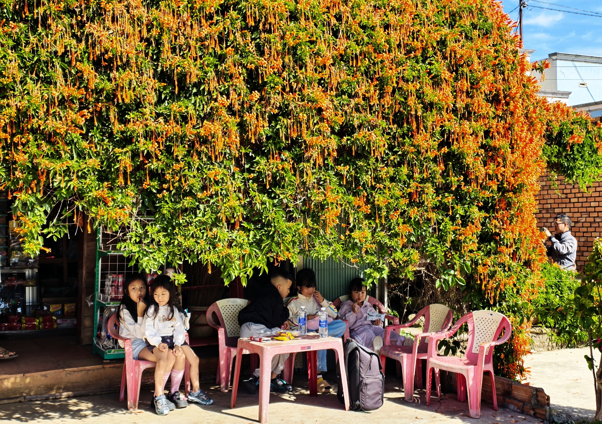 Căn nh&agrave; dưới t&aacute;n hoa x&aacute;c ph&aacute;o, đang "nổi như cồn" ở L&acirc;m Đồng - Ảnh 18.