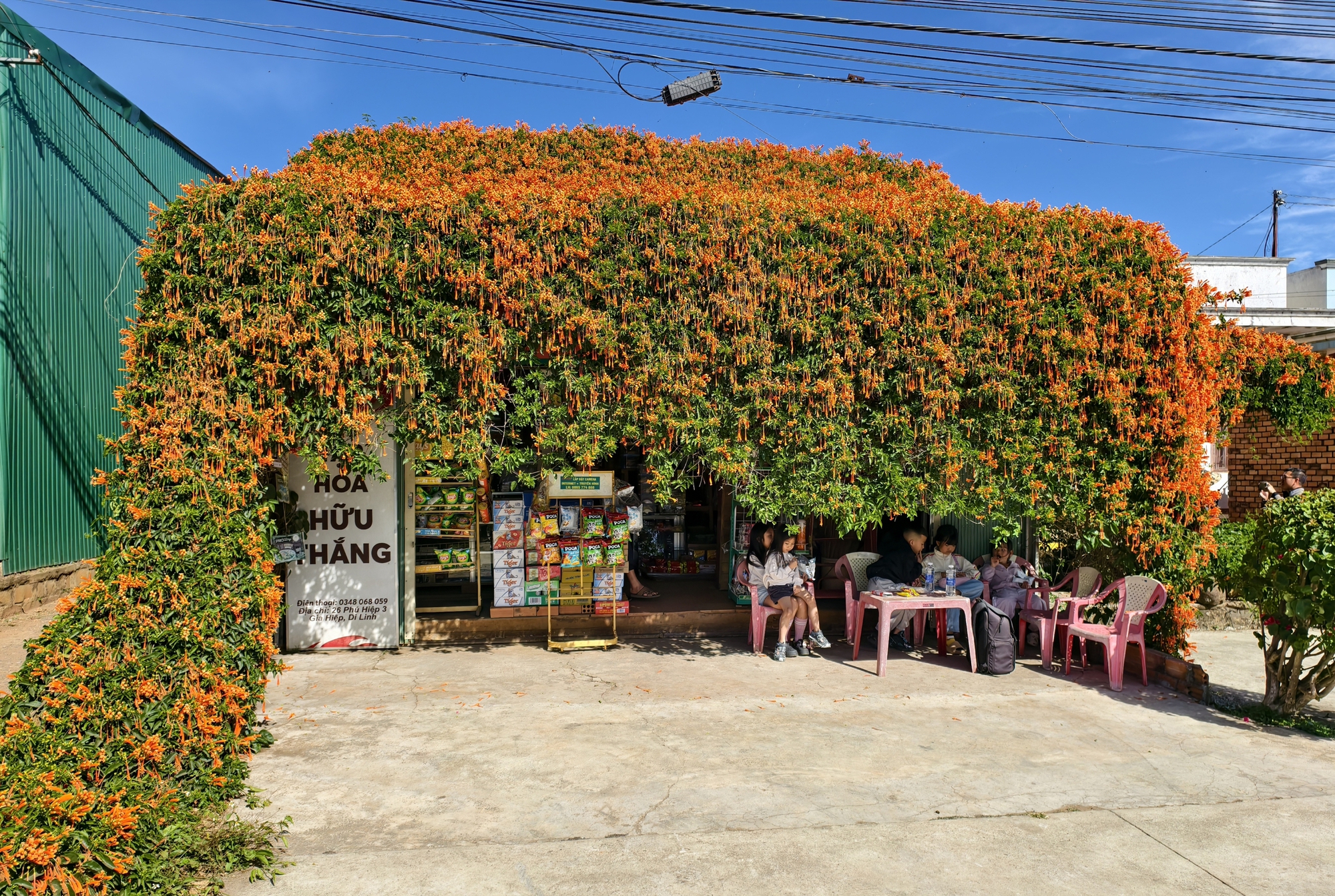 Căn nh&agrave; dưới t&aacute;n hoa x&aacute;c ph&aacute;o, đang "nổi như cồn" ở L&acirc;m Đồng - Ảnh 2.