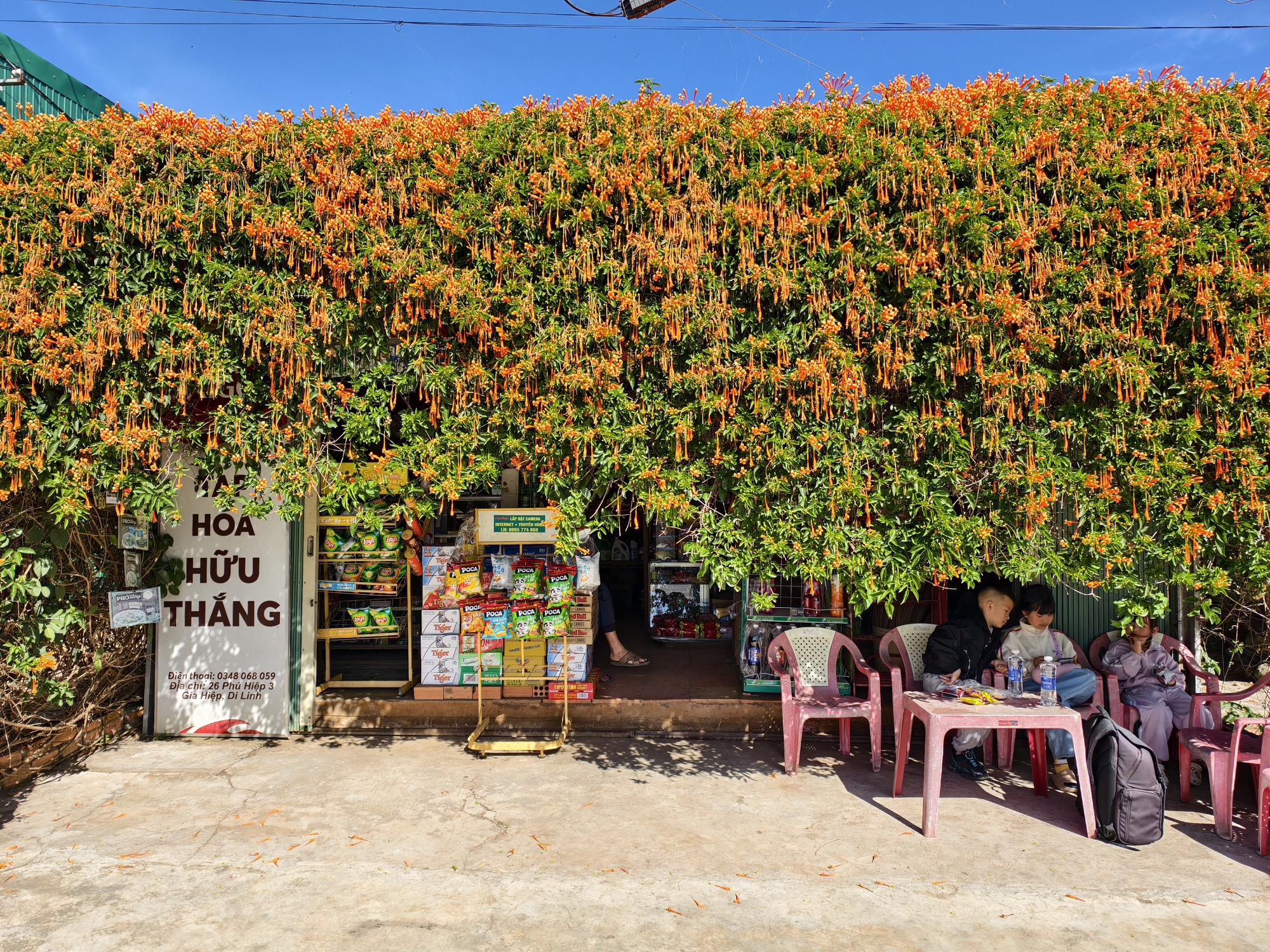 Căn nh&agrave; dưới t&aacute;n hoa x&aacute;c ph&aacute;o, đang "nổi như cồn" ở L&acirc;m Đồng - Ảnh 6.