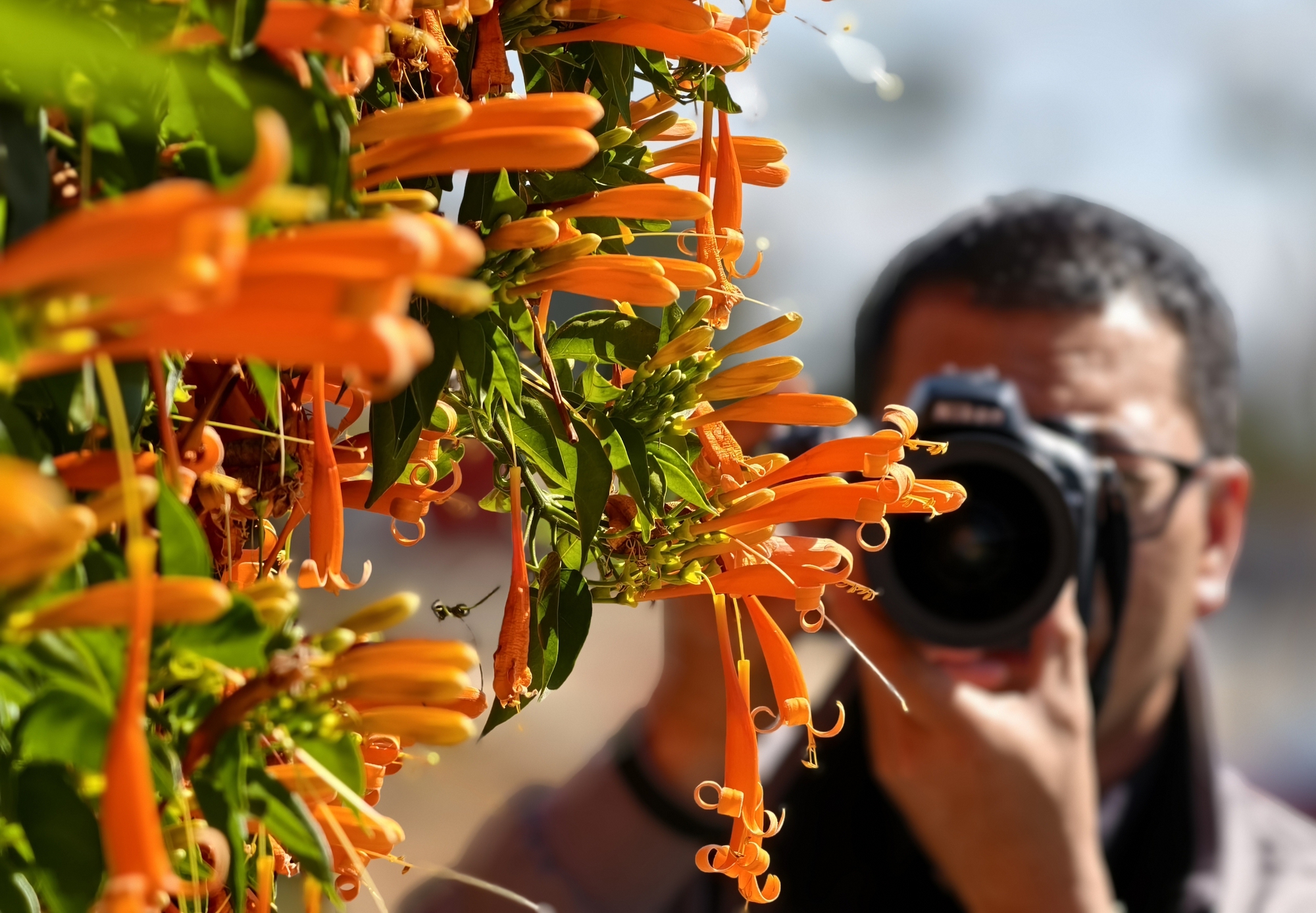 Căn nh&agrave; dưới t&aacute;n hoa x&aacute;c ph&aacute;o, đang "nổi như cồn" ở L&acirc;m Đồng - Ảnh 17.