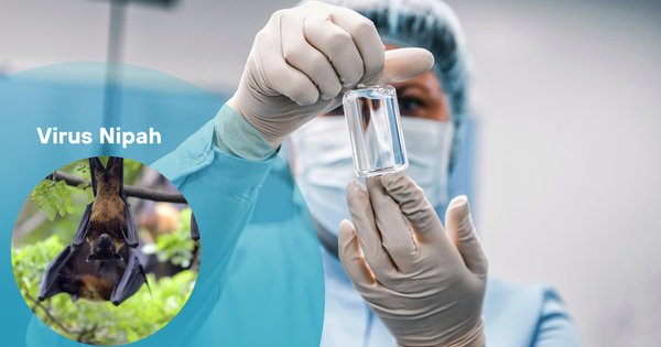 Thuốc phòng chống virus Nipah hiệu quả từ Trung Quốc trong năm 2026 - Ảnh 1.