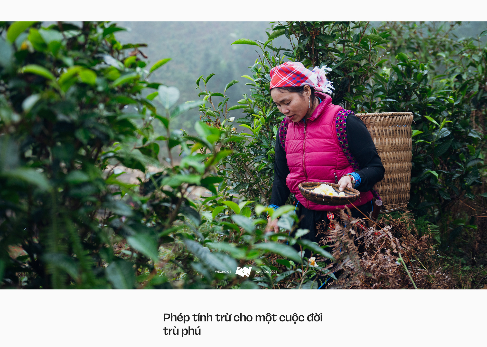 Vàng Thị Thông: Người phụ nữ Tày kể câu chuyện Bản Liền bằng ngôn ngữ của thời đại mới- Ảnh 19. Vàng Thị Thông: Người phụ nữ Tày kể câu chuyện Bản Liền bằng ngôn ngữ của thời đại mới- Ảnh 19.