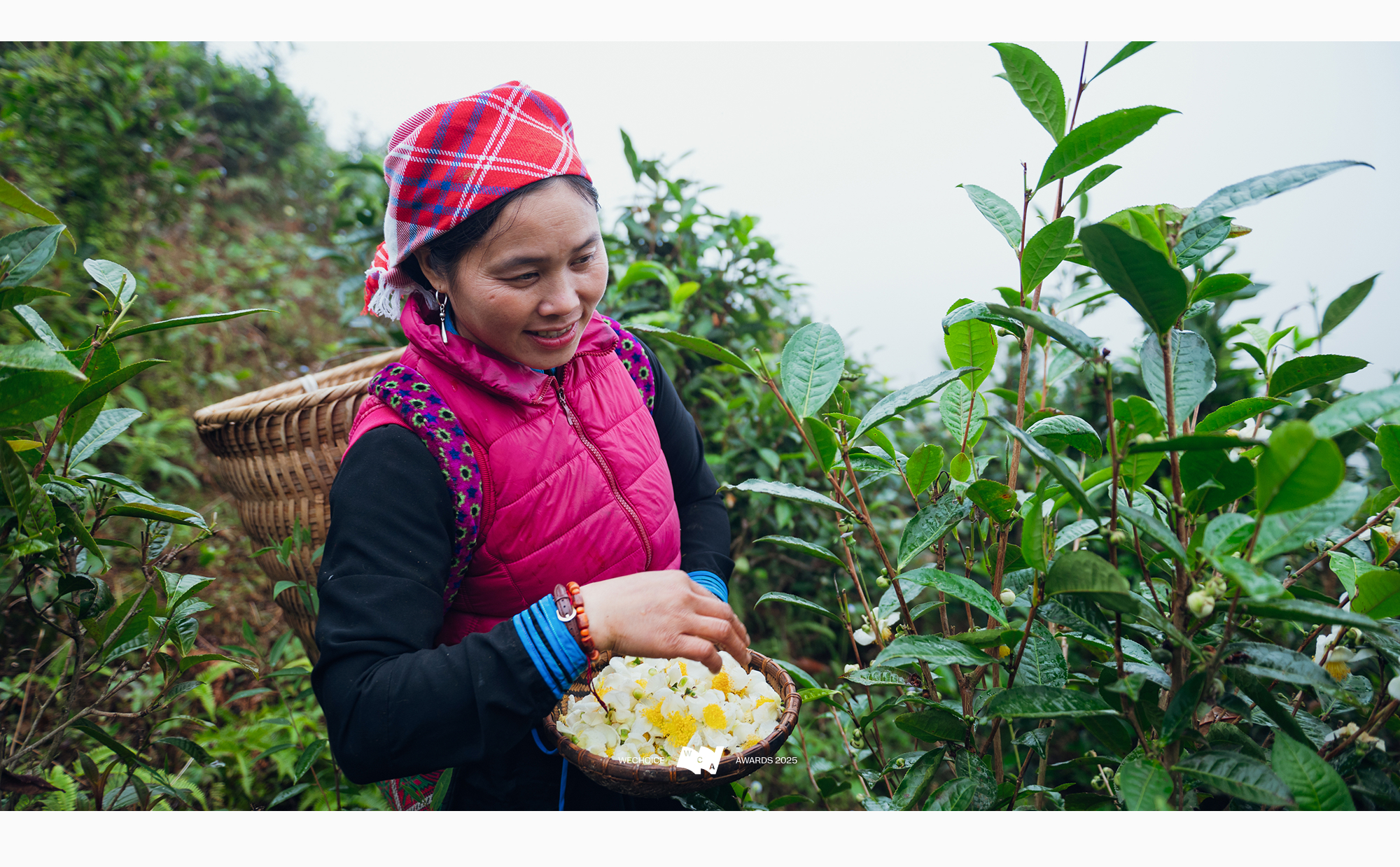 Vàng Thị Thông: Người phụ nữ Tày kể câu chuyện Bản Liền bằng ngôn ngữ của thời đại mới- Ảnh 27. Vàng Thị Thông: Người phụ nữ Tày kể câu chuyện Bản Liền bằng ngôn ngữ của thời đại mới- Ảnh 27.