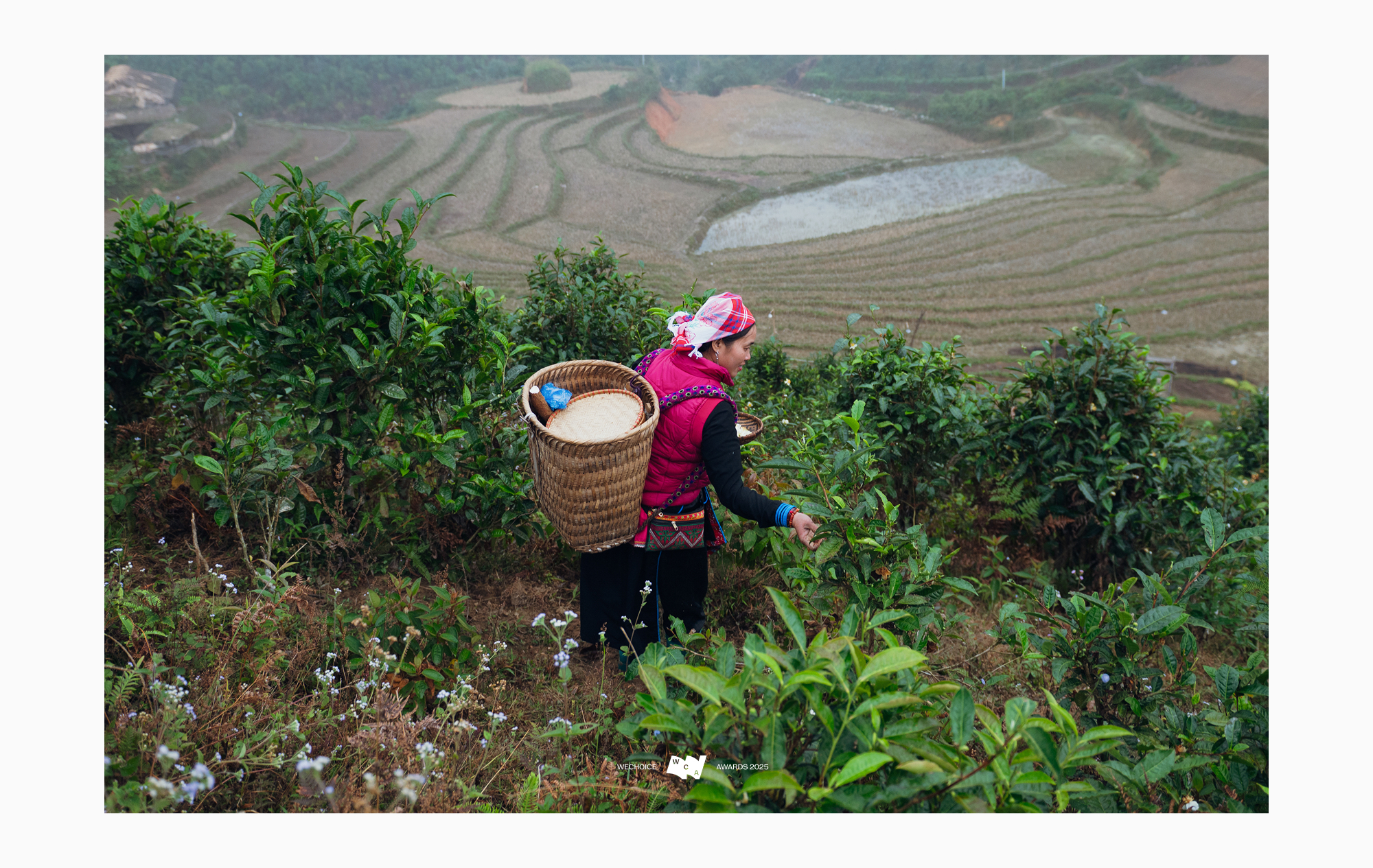 Vàng Thị Thông: Người phụ nữ Tày kể câu chuyện Bản Liền bằng ngôn ngữ của thời đại mới- Ảnh 2. Vàng Thị Thông: Người phụ nữ Tày kể câu chuyện Bản Liền bằng ngôn ngữ của thời đại mới- Ảnh 2.