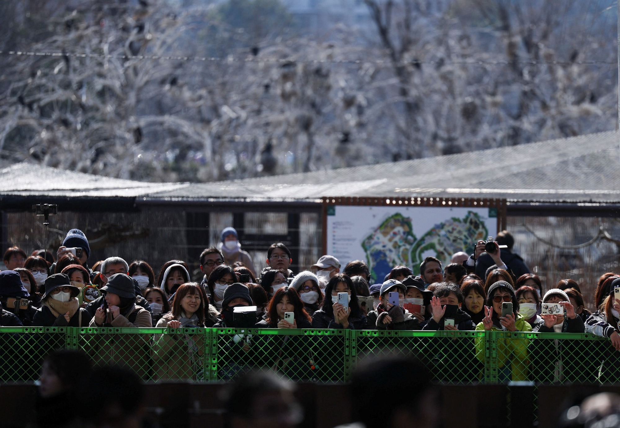Người d&acirc;n Nhật Bản tiễn gấu tr&uacute;c về Trung Quốc: Nỗi buồn v&agrave; thiệt hại kinh tế - Ảnh 2.