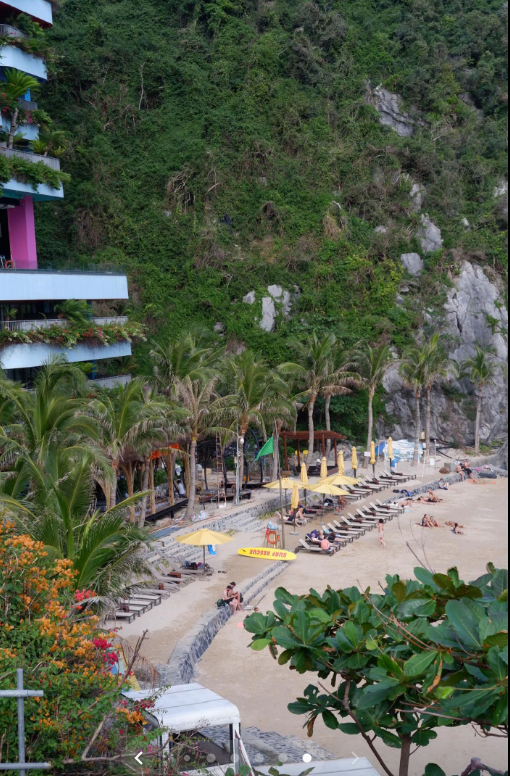 Bãi biển miền Bắc du khách đi mùa đông mà phải thốt lên: "Cứ ngỡ đang ở trời Âu!" - Ảnh 5.