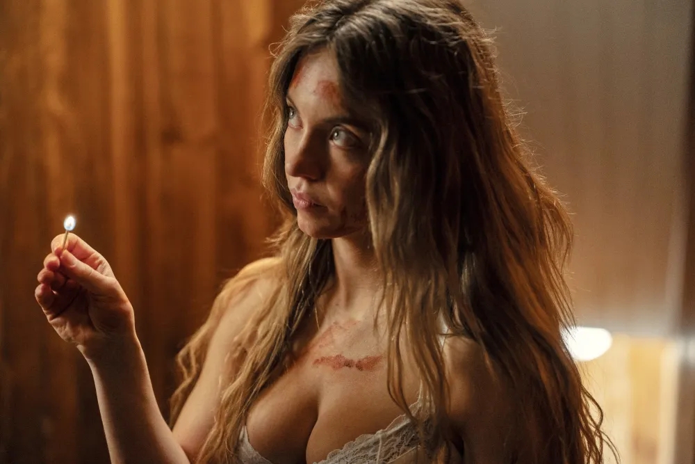 - Ảnh 2. - Ảnh 2.