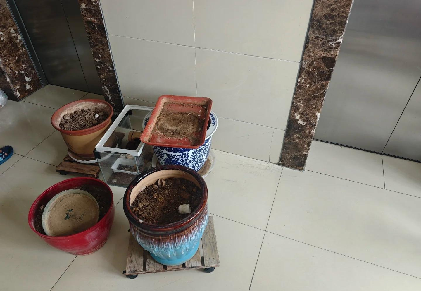 10 thứ nặng vía cần dọn trước Tết 2026 để cuộc sống nhẹ nhàng - Ảnh 3.